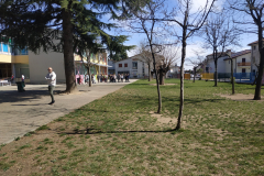 IMG_20190327_104409