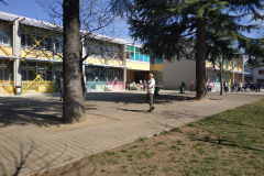 IMG_20190327_104413