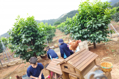 093ec5aa-eca9-41b2-bb5a-cac1ac8be3eb