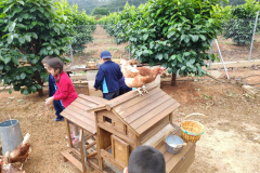 17bf0031-4e05-40b6-b764-5694b6451302