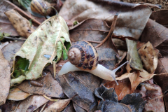 1a53a5f2-1ae7-481f-a3d5-f5b6d96aa4b4