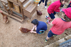 2fd131b9-a2c9-4866-8bf8-b67e2cf13e73