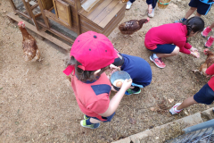 60c1cae5-65ec-4e08-badb-505e0a2ef883