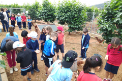 6d1c1041-b582-4a02-9605-42455fd53f29