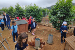 caf13fde-d13f-466b-86e5-905628373a4b