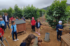 cf352158-bfcd-4a71-b724-83089260b3af