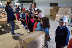 d9241acb-8af5-40f2-a895-b2c4fefdb519-2