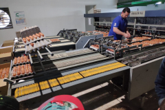 e4418dfd-2ebe-48ab-9632-03af893dd748