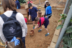 ec760832-a180-4f90-9d65-2271faa86bdb