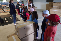 f9b31a1a-b3c6-4250-b180-60baf1ea01b3