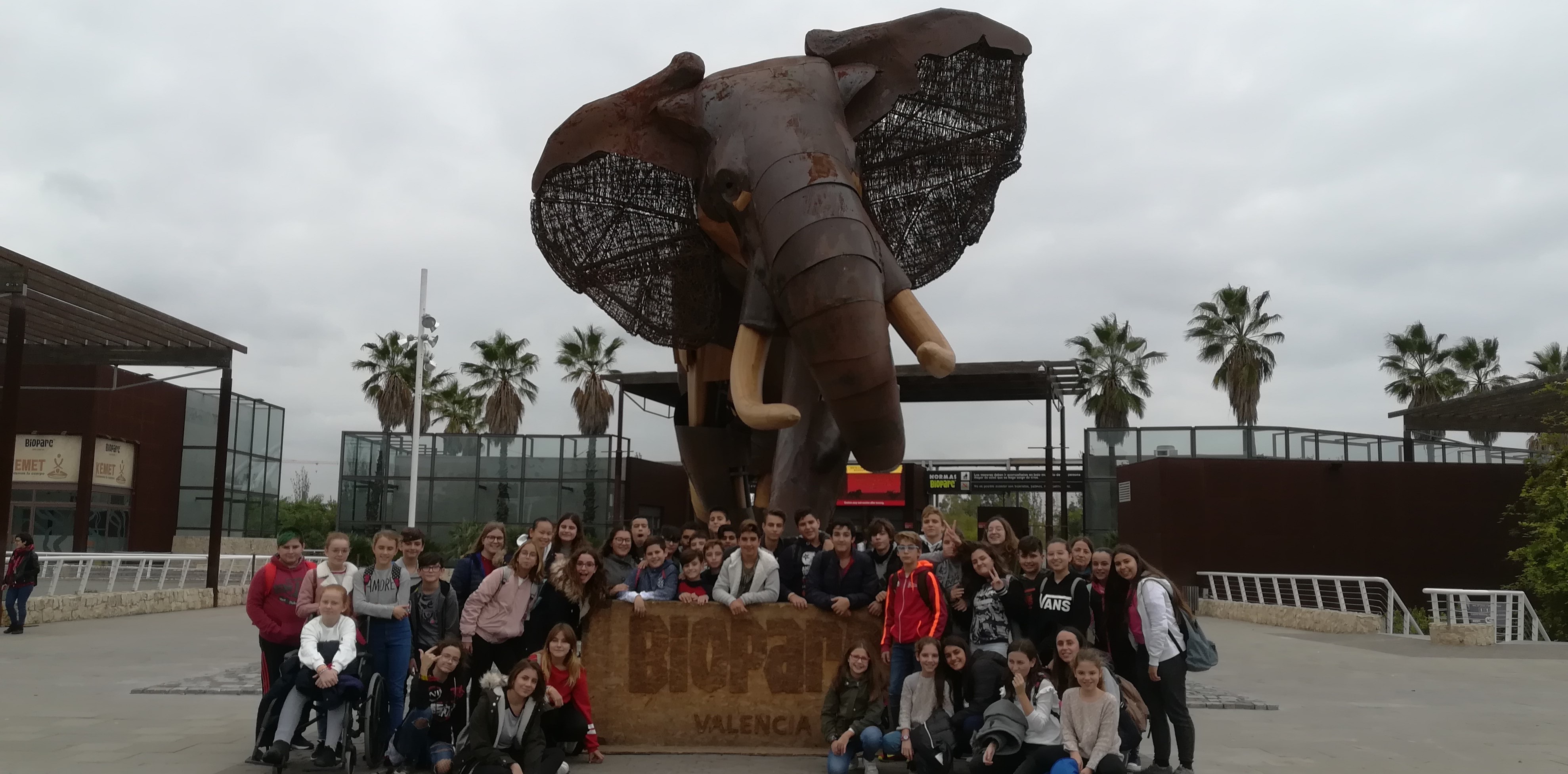 Lee más sobre el artículo Taller de música africana + Bioparc